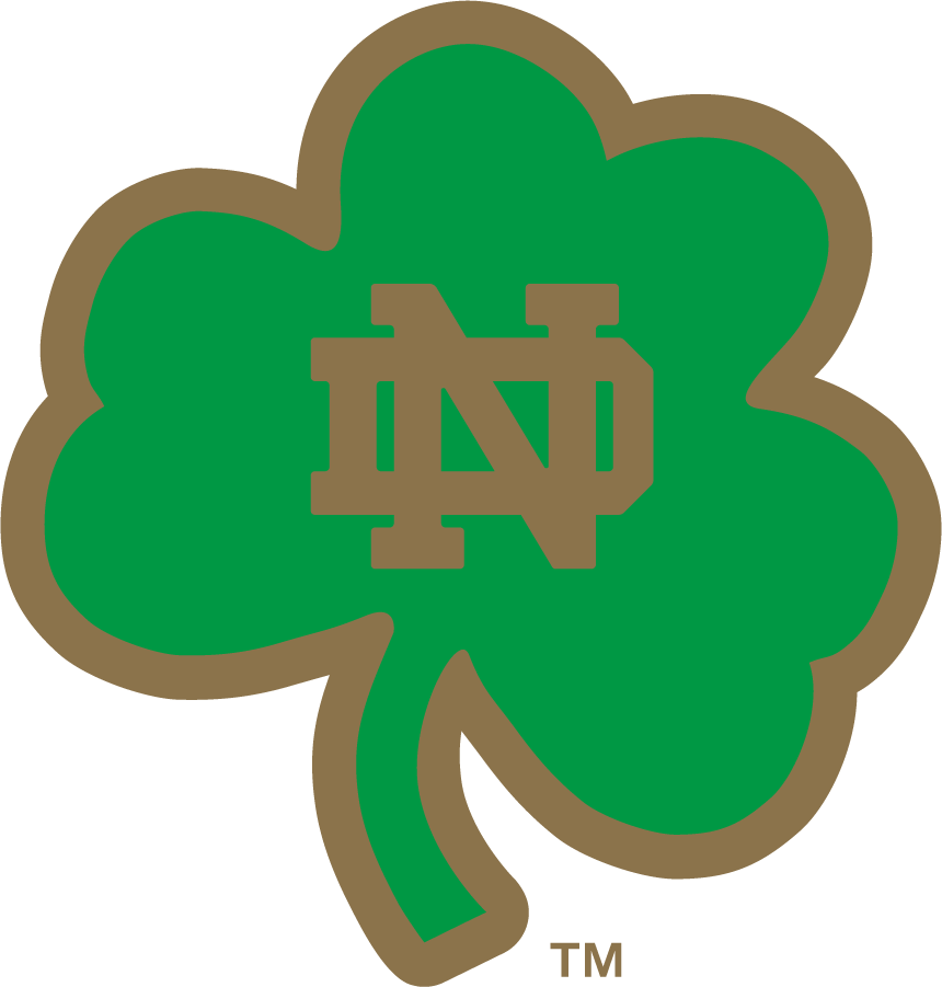 Notre Dame Fighting Irish 2006-2015 Secondary Logo DIY iron on transfer (heat transfer)